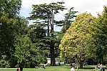 Christchurch Botanischer Garten